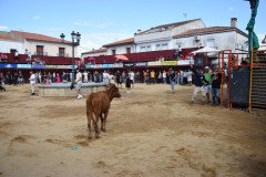 DSC_0235-Mediana