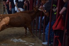 DSC_0242-Mediana
