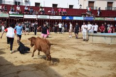 DSC_0244-Mediana