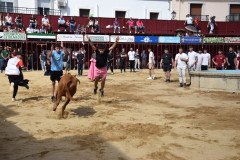 DSC_0246-Mediana