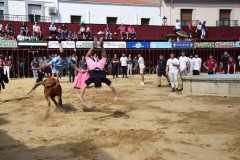 DSC_0248-Mediana