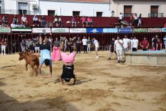 DSC_0249-Mediana