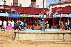 DSC_0250-Mediana
