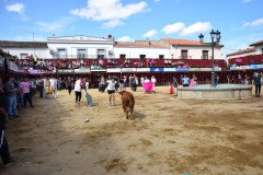 DSC_0252-Mediana