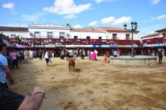 DSC_0253-Mediana