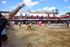 DSC_0254-Mediana