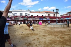 DSC_0255-Mediana
