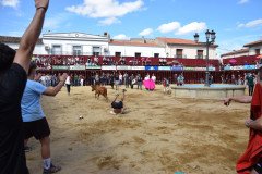 DSC_0256-Mediana