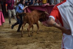 DSC_0259-Mediana