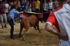 DSC_0260-Mediana