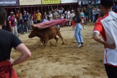 DSC_0263-Mediana