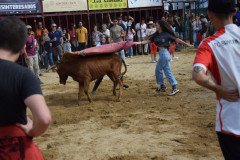 DSC_0264-Mediana