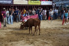 DSC_0265-Mediana