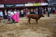DSC_0266-Mediana
