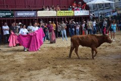 DSC_0267-Mediana