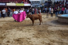 DSC_0268-Mediana