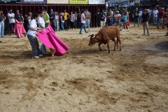 DSC_0270-Mediana