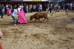 DSC_0271-Mediana