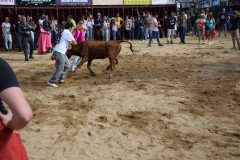 DSC_0273-Mediana