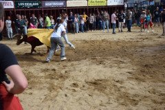 DSC_0275-Mediana