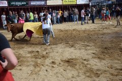 DSC_0276-Mediana