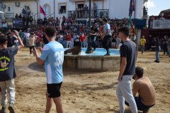 DSC_0281-Mediana