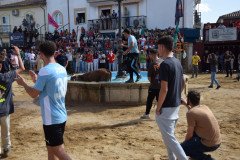 DSC_0283-Mediana