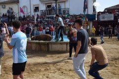 DSC_0284-Mediana