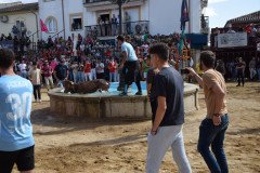 DSC_0285-Mediana