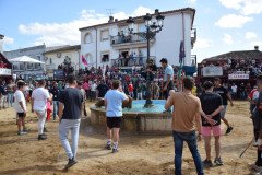 DSC_0287-Mediana