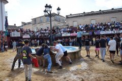 DSC_0288-Mediana