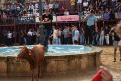 DSC_0290-Mediana