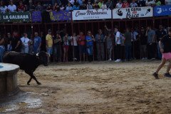 DSC_0292-Mediana