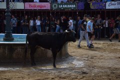 DSC_0295-Mediana