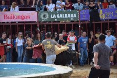 DSC_0300-Mediana