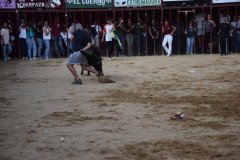 DSC_0303-Mediana