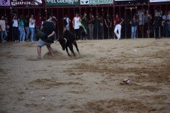 DSC_0304-Mediana