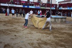 DSC_0305-Mediana