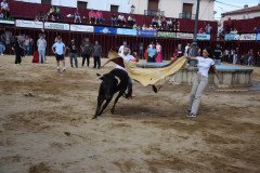 DSC_0307-Mediana