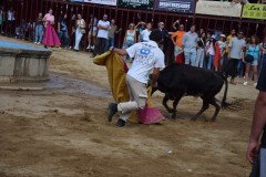 DSC_0309-Mediana