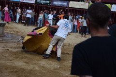 DSC_0310-Mediana