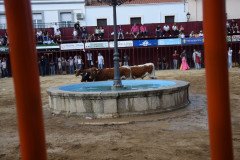 DSC_0312-Mediana
