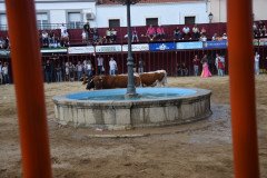 DSC_0313-Mediana