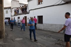 DSC_0336-Mediana