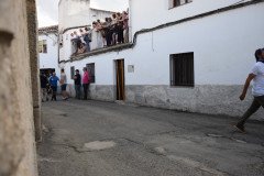 DSC_0362-Mediana