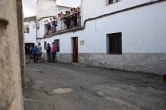 DSC_0363-Mediana