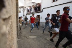 DSC_0365-Mediana