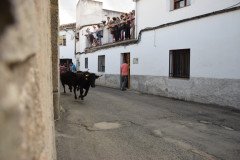 DSC_0374-Mediana