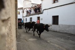 DSC_0376-Mediana