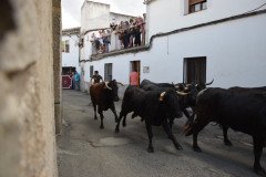 DSC_0381-Mediana